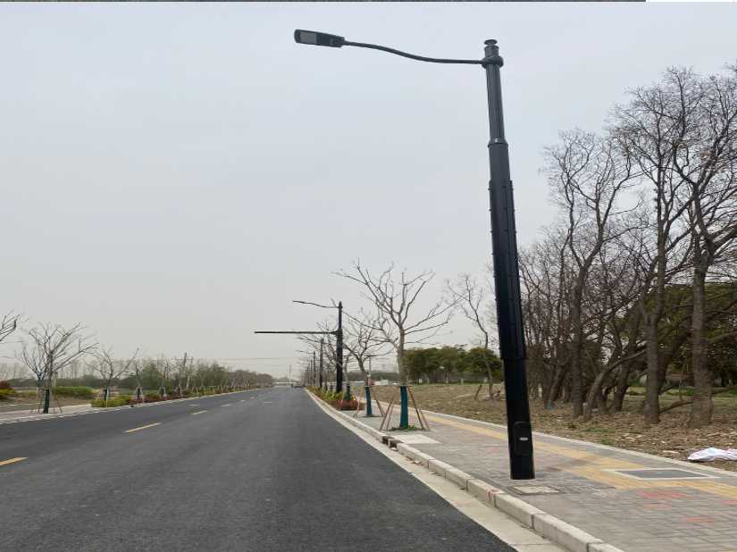 道县上海综合杆 太阳能路灯工程